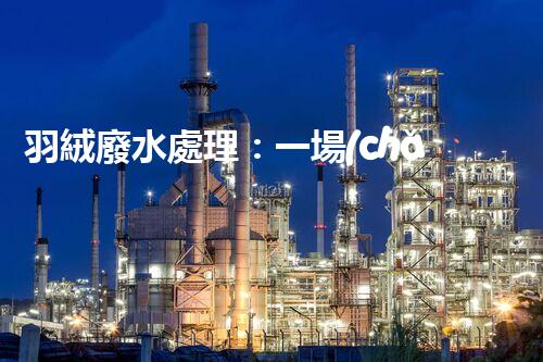 羽絨廢水處理：一場(chǎng)綠色環(huán)保的羽毛盛宴？